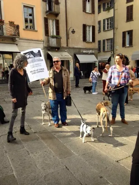 13315660 1038713856212469 4709062131740008545 n