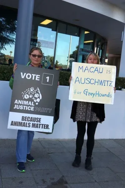 13315761 1123913491028341 4030978192609711197 n