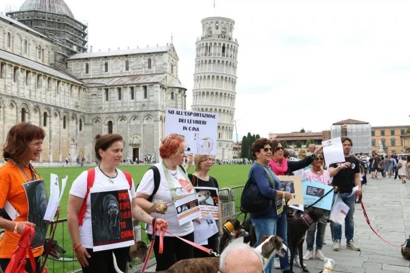 13315767 1040687636015091 2513381372644066563 n