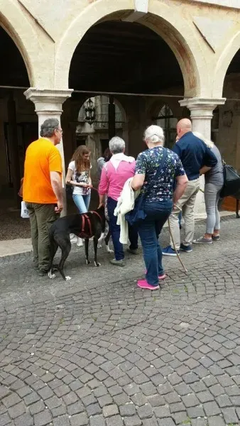 13315774 1040353572715164 330875360072288941 n