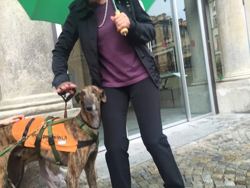 13316785 1038707816213073 873195285171412936 o 1