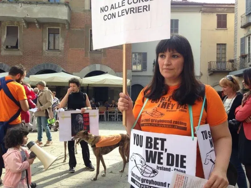 13316814 1038711732879348 4626278345606573970 o