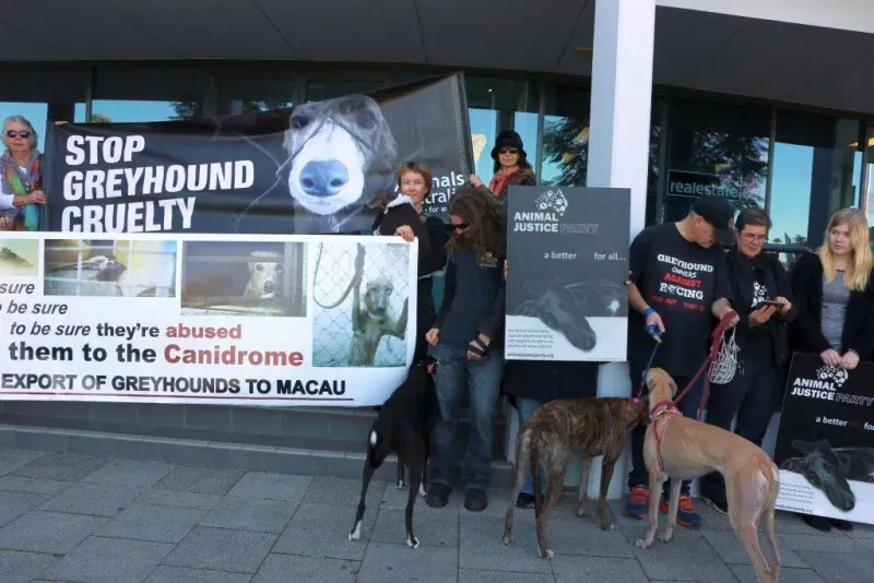 13316906 1123913231028367 2201157661686104996 o