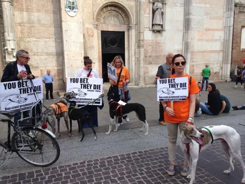 13316927 1038846286199226 7476589586247953085 o 1