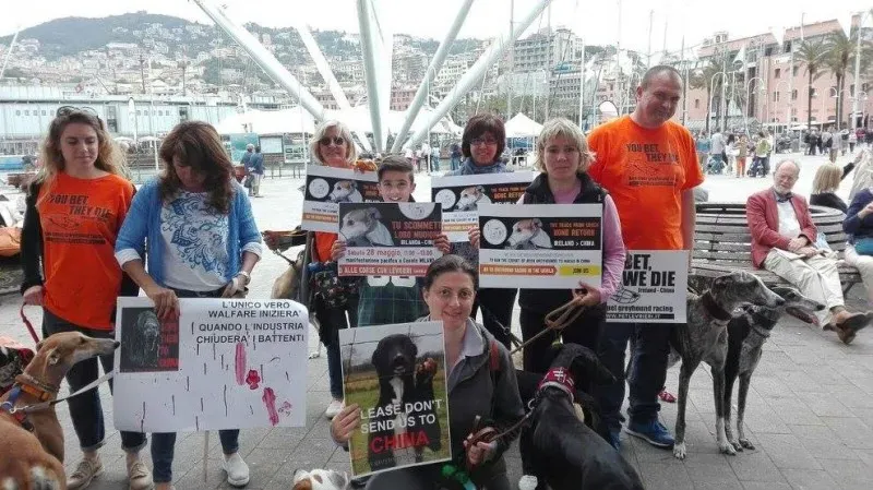 13316932 1038856122864909 5978444768067377617 o 1