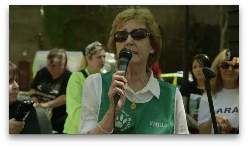 13317050 471502539726715 4510834853682065123 o