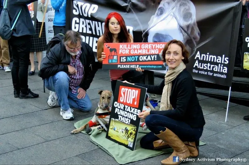 13317057 1781623858790713 2615231870710197301 o