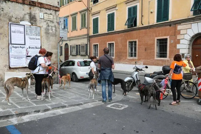 13319721 1040699299347258 3703419647708862091 n