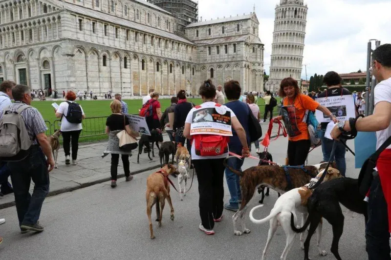 13319731 1040685226015332 4168098934538243639 n