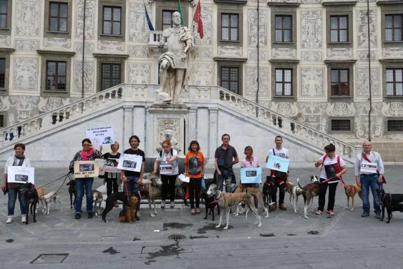 13319796 1040683232682198 8516332271176680249 n