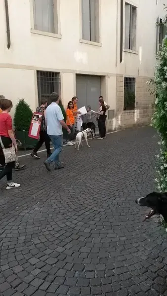 13319814 1040353232715198 5297729038649877074 n