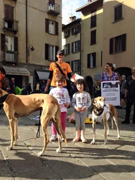 13319832 1038713996212455 4672797264487203864 n