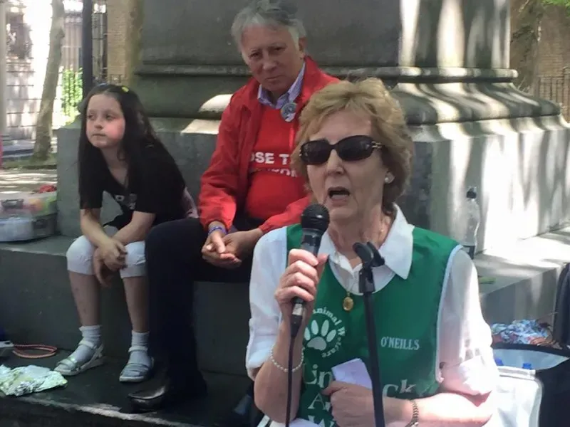 13319846 1038286586255196 516509045844384087 n