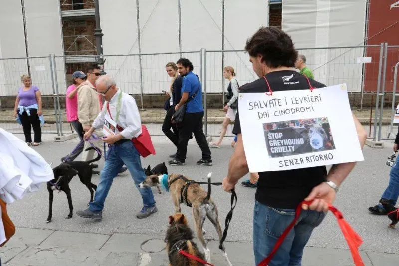 13319869 1040689342681587 5350081011279365549 n