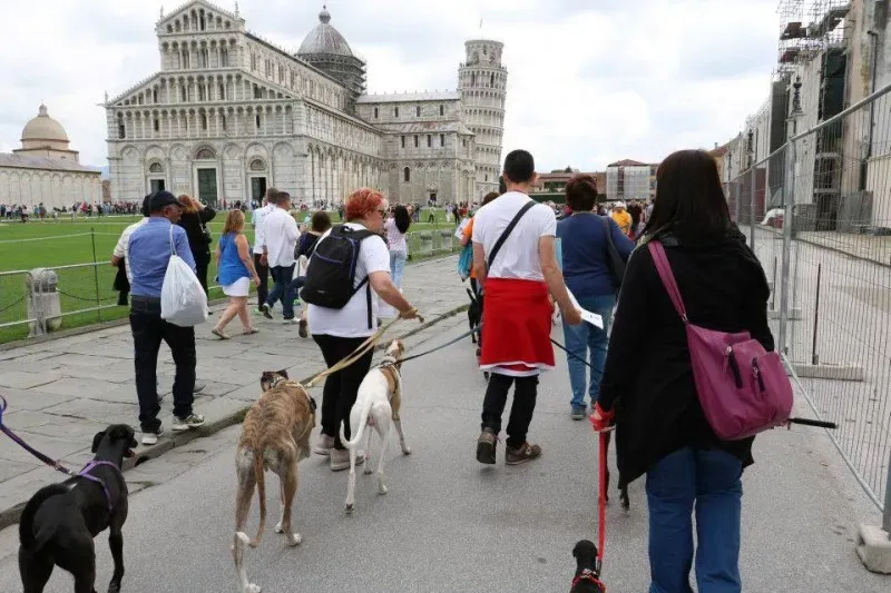 13319885 1040684716015383 7147206974315409805 n