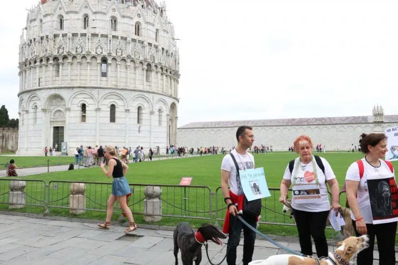 13319908 1040688899348298 1797022687181463406 n