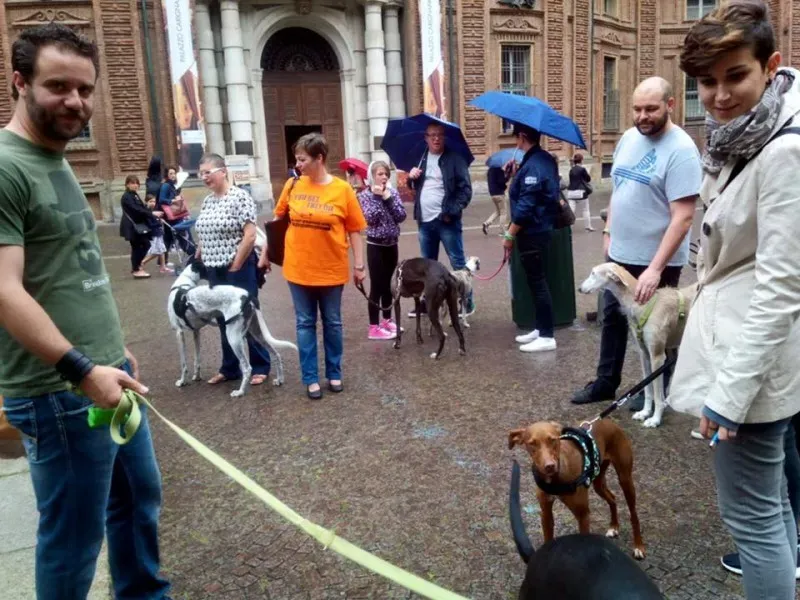 13319930 1038708922879629 560266069039473515 n 1