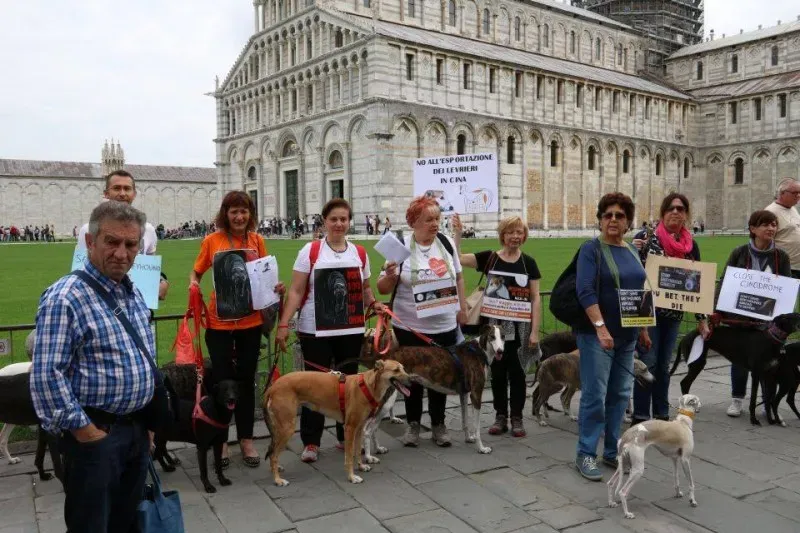 13319951 1040686682681853 5358843638946958091 n