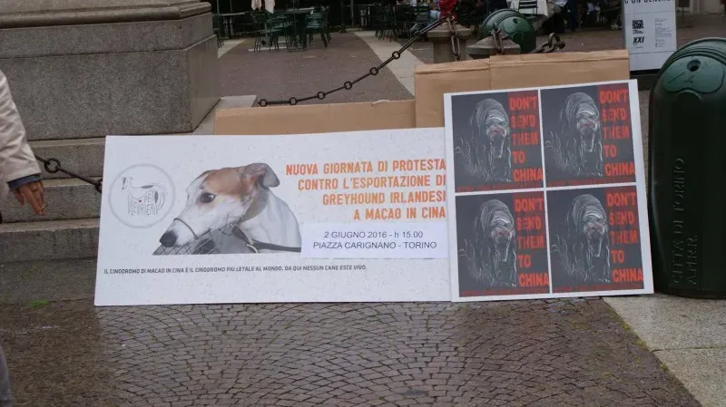 13320344 1038476576236197 218415806977620013 o 1