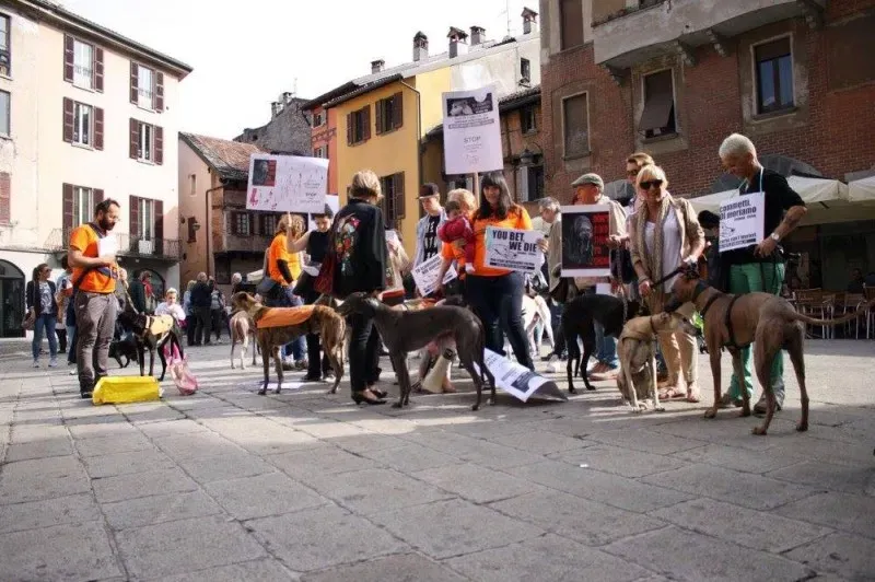 13320357 1038711586212696 9018572863955658931 o