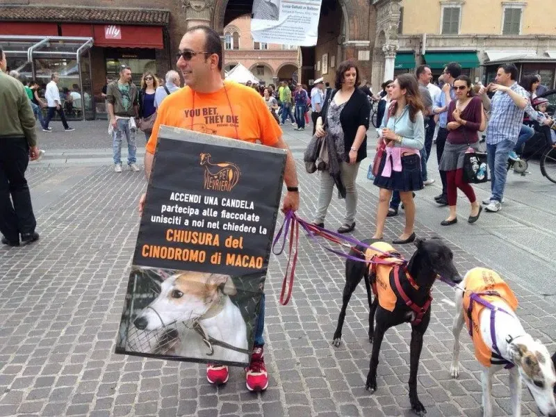 13320427 1038846289532559 8147533437160125469 o 1