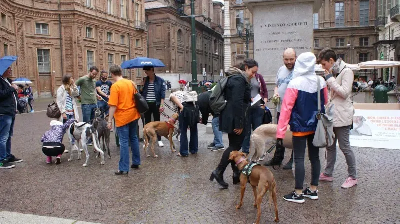 13320484 1038476579569530 5397430151525525314 o 1