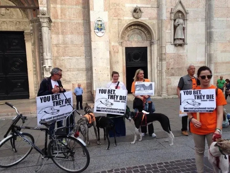 13320501 1038846356199219 2107435334801207042 o 1