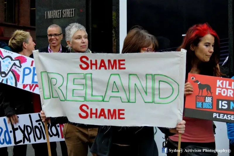 13320504 1781623702124062 8033926942932615029 o