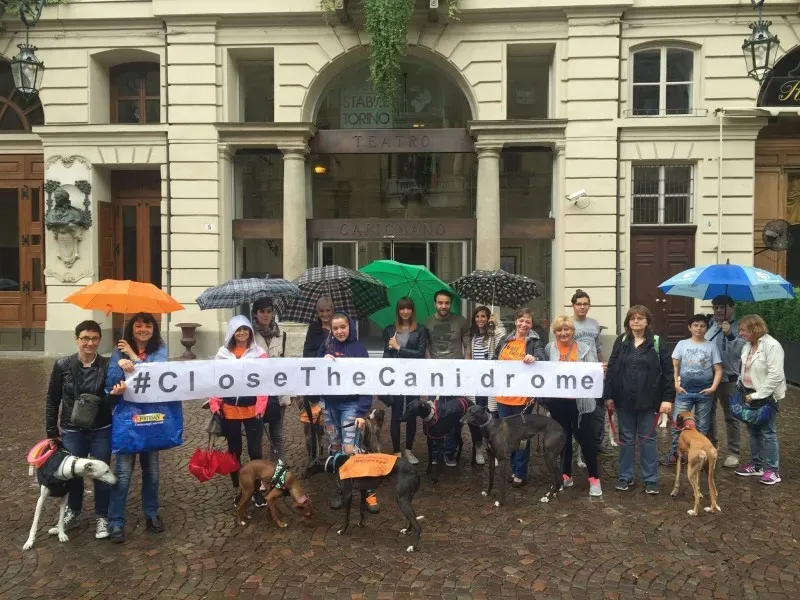 13320568 1038709312879590 8100680704213391064 o 1