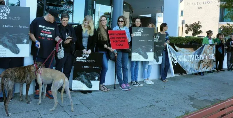 13320622 1123913297695027 6915210562432606693 o