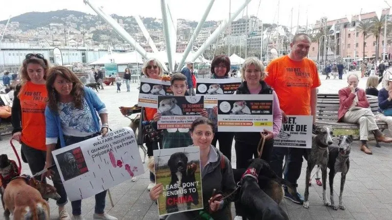 13320716 1038856232864898 2512051446463299305 o 1