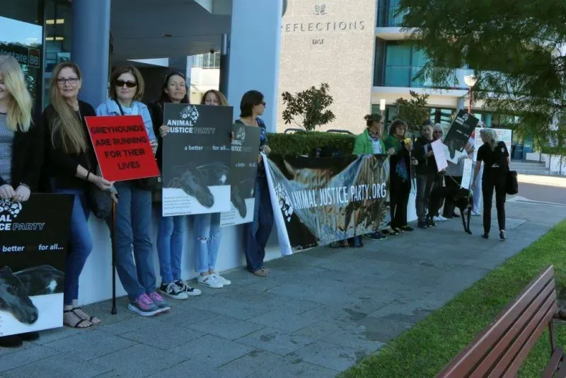 13320731 1123913344361689 2282164092616324389 o