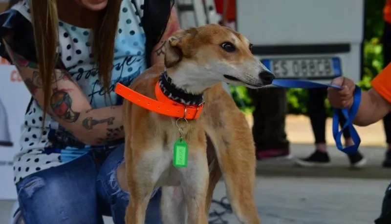 13320825 1036345023116019 7696380724701303843 o