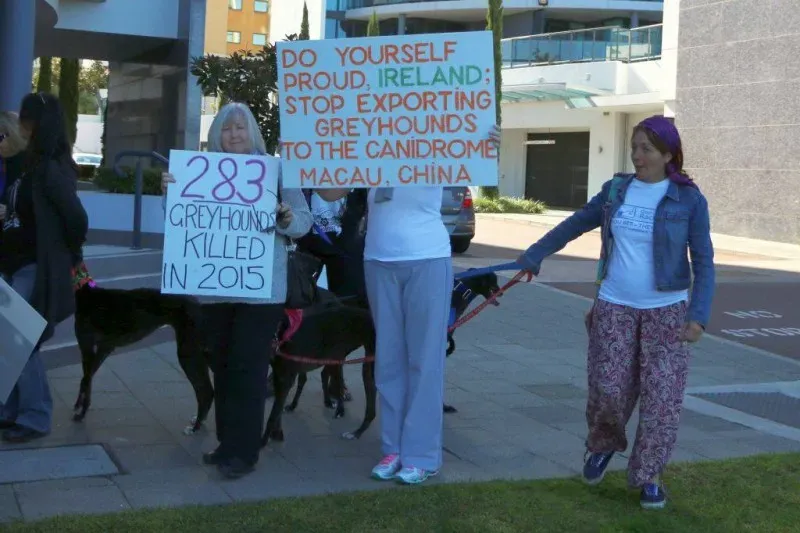 13320854 1123912851028405 32779684029356779 o