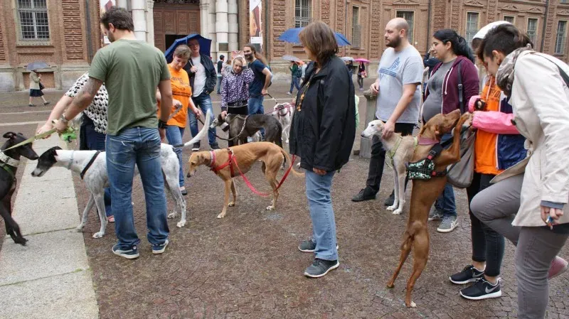 13320896 1038476839569504 6186007371530055457 o 1