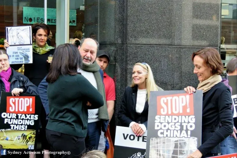 13320924 1781623988790700 2643962633155158275 o