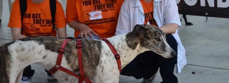 13320980 1036327649784423 7929808373122259362 o