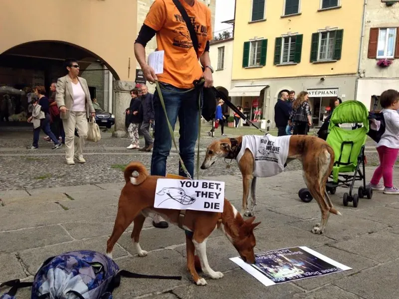 13321606 1038713772879144 8621538940946987695 n