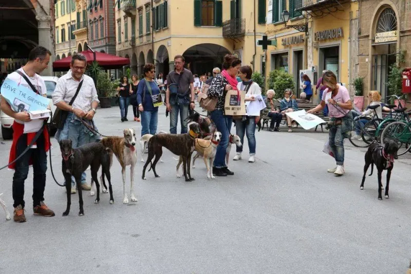 13321624 1040698556013999 6190904656445728858 n