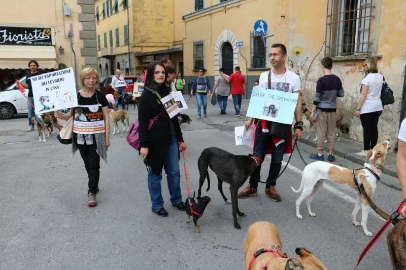 13321648 1040694986014356 4291472034143182231 n