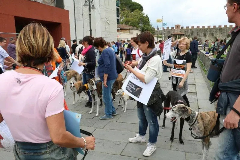 13321711 1040689309348257 1095228618092718758 n