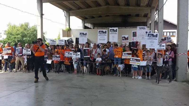 13321774 939266976171096 7427725365977908033 n