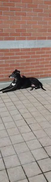 13321829 1036634176420437 4733539476437240895 n