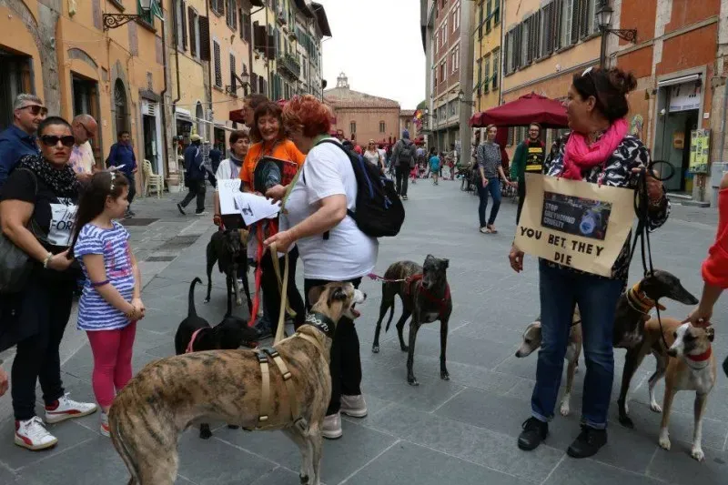 13321831 1040693956014459 8648729816625909471 n