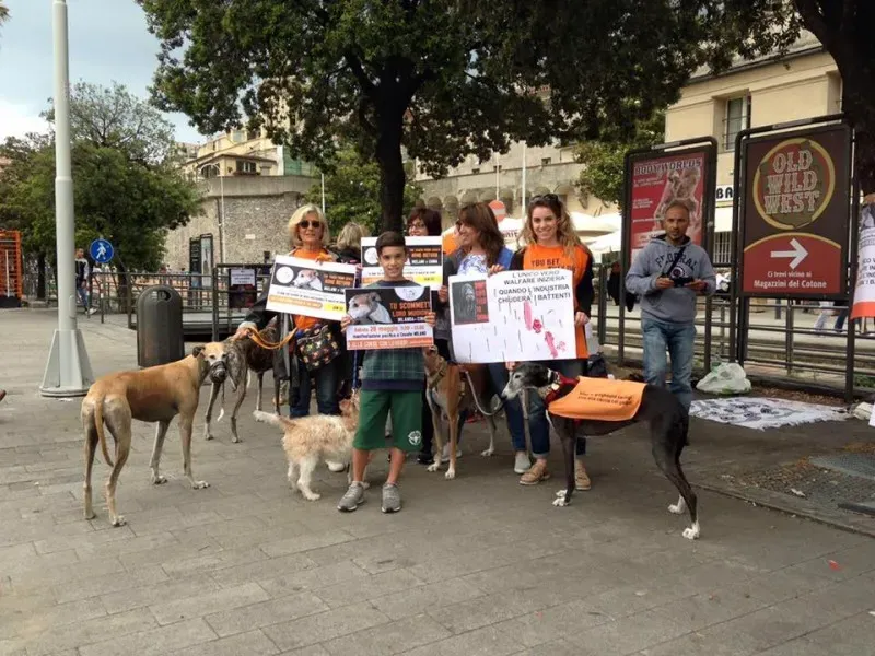 13321840 1038860019531186 4592079044490088844 n 1