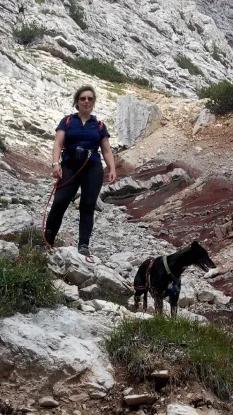 13321863 1037149793035542 3483895745117501186 n