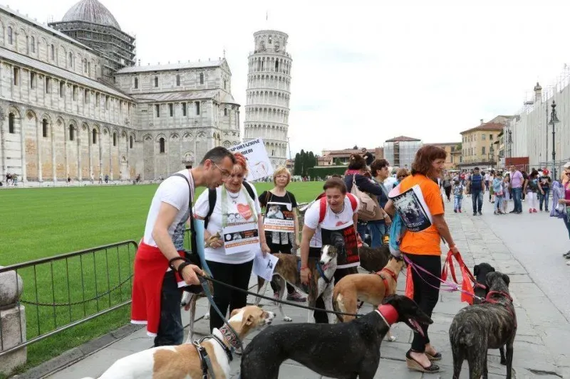 13321884 1040688422681679 7550308347506238880 n