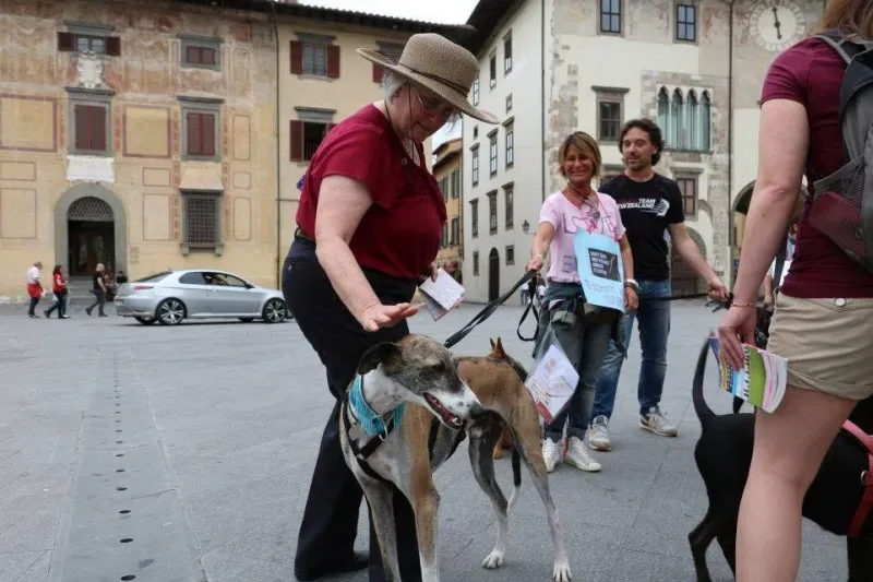 13321951 1040697039347484 5954278324101002634 n