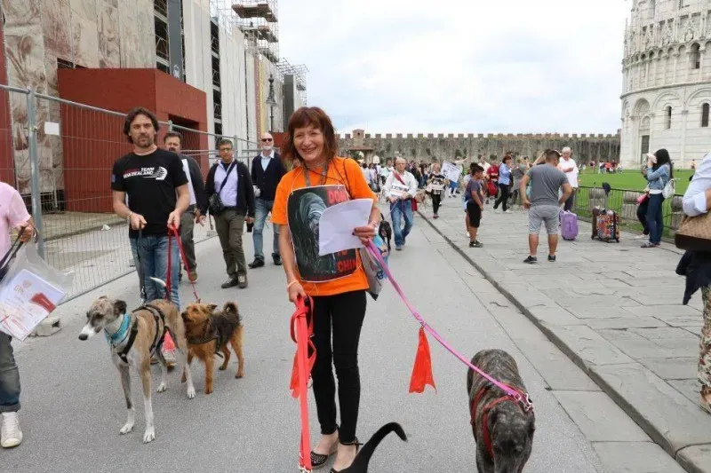 13321956 1040689519348236 963355830738486842 n