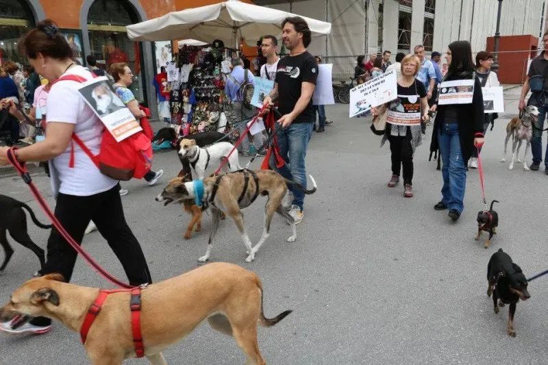 13322049 1040690132681508 6001463089959321835 n